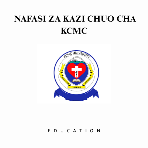 AFISA TEHAMA (ICT) DARAJA II CHUO CHA KCMC