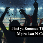 Jinsi ya Kununua Tiketi za Mpira kwa N-Card Kupitia Simu Yako