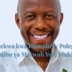 Kutekwa kwa Humphrey Polepole, Majibu ya Maswali Yote Muhimu