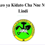 Matokeo ya Kidato Cha Nne Mkoa wa Lindi